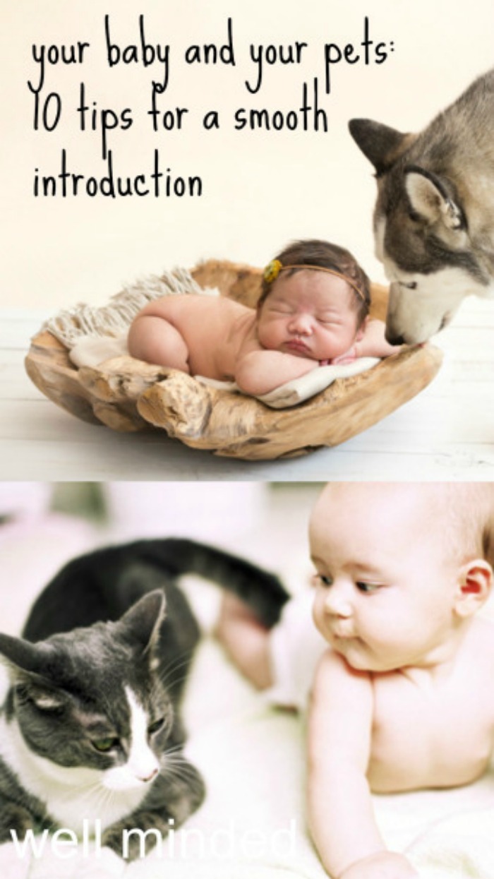 your-baby-and-your-pets
