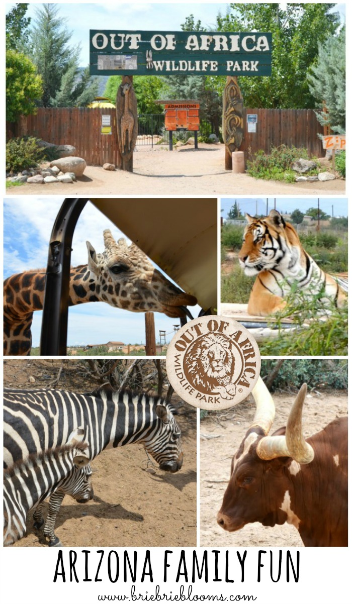 out-of-africa-wildlife-park-arizona