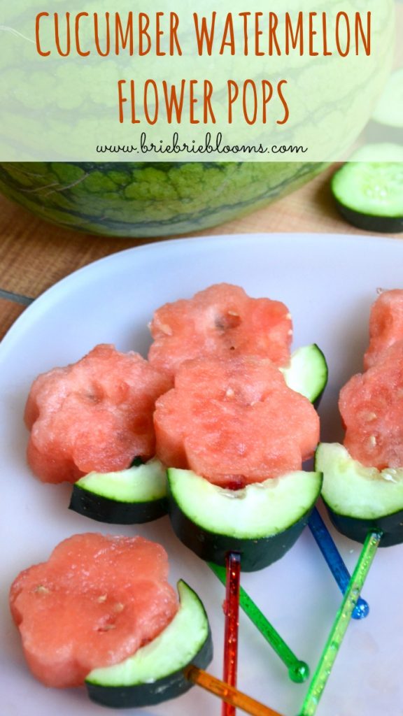 Cucumber watermelon pops (kids snack) - Brie Brie Blooms