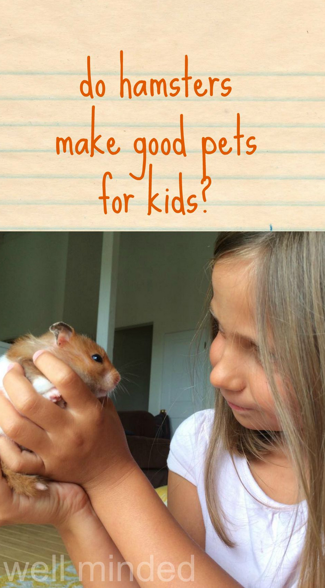 do-hamsters-make-good-pets-for-kids