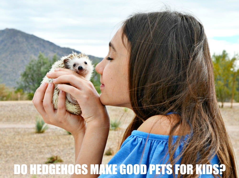 Do hedgehogs make good pets for kids? We think so but every pet and owner relationship is unique. See if having a pet hedgehog is right for your family.