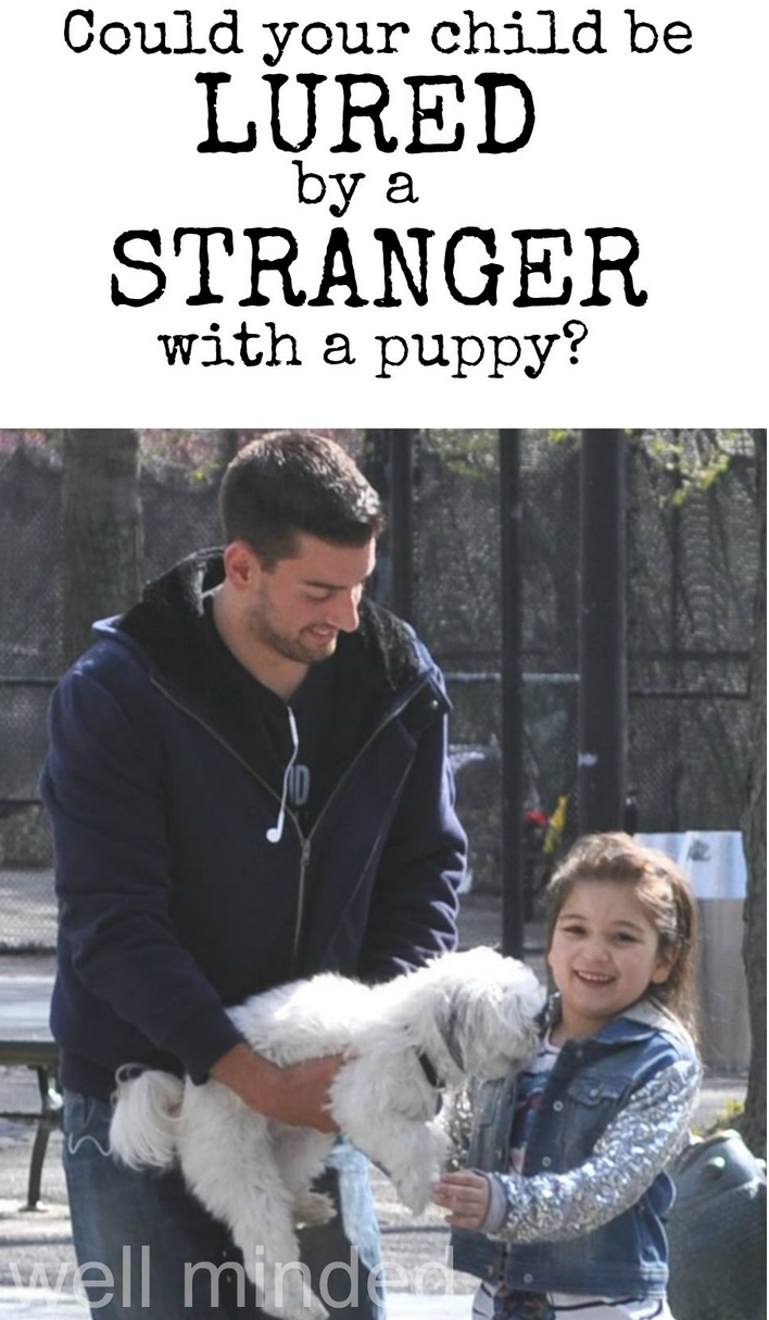 stranger-with-a- puppy