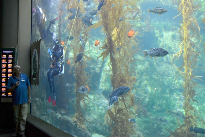 Grand Pacific Palisades Carlsbad Birch Aquarium