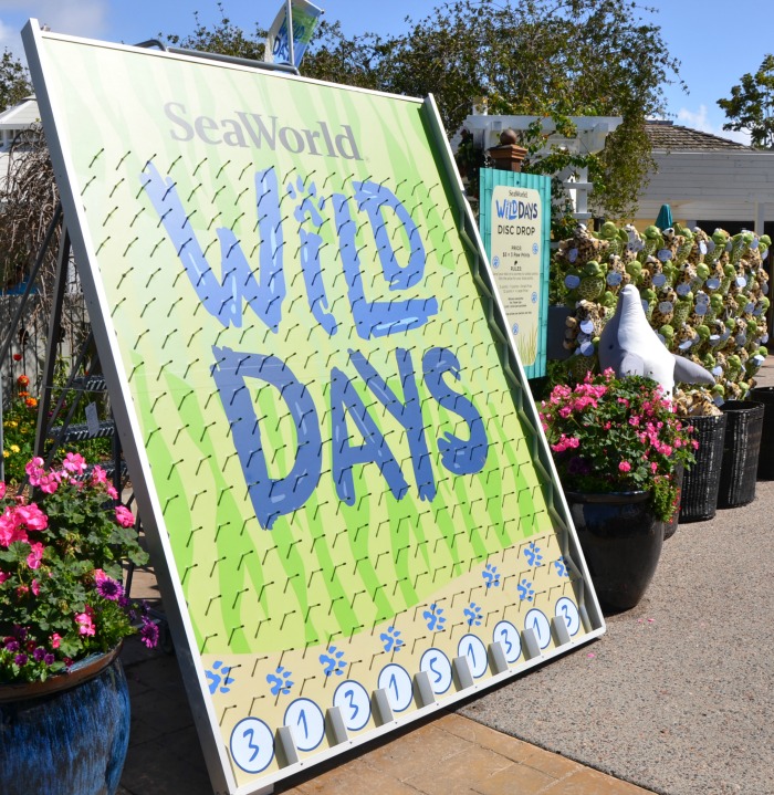 5-reasons-to-attend-SeaWorld-Wild-Days-games