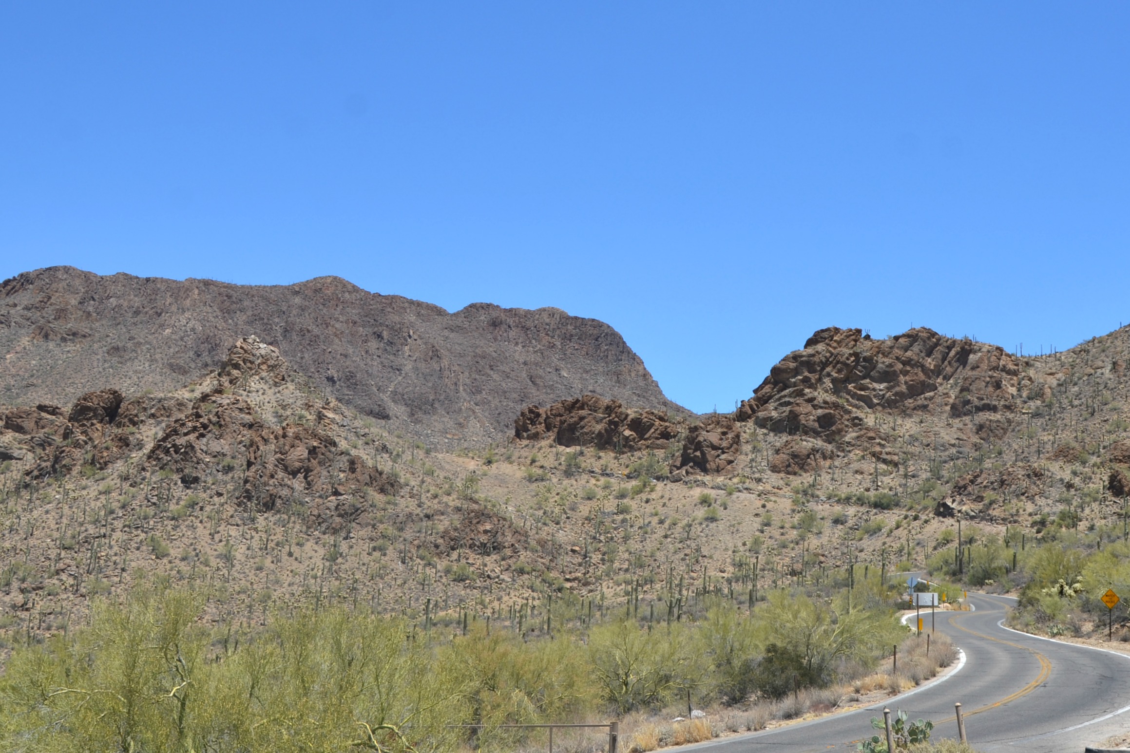 Arizona Sonora Desert Musuem drive