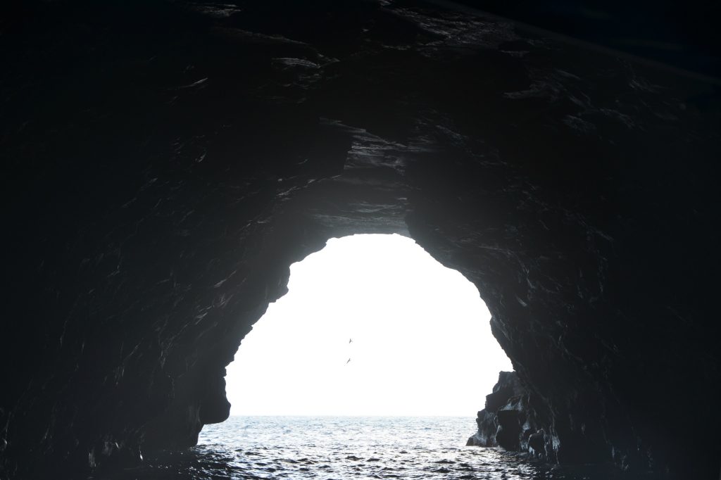 Na Pali Coast Snorkel Tour from Hanalei Bay, Hawaii Family Travel