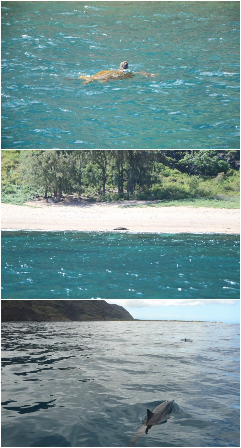 Na Pali Coast Snorkel Tour from Hanalei Bay, Hawaii Family Travel