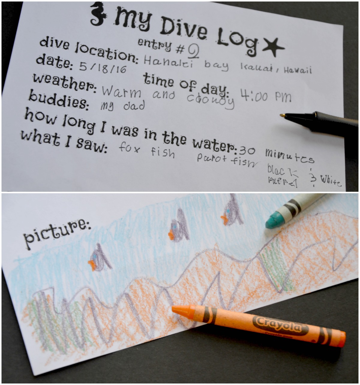 Printable Child Dive Log entry