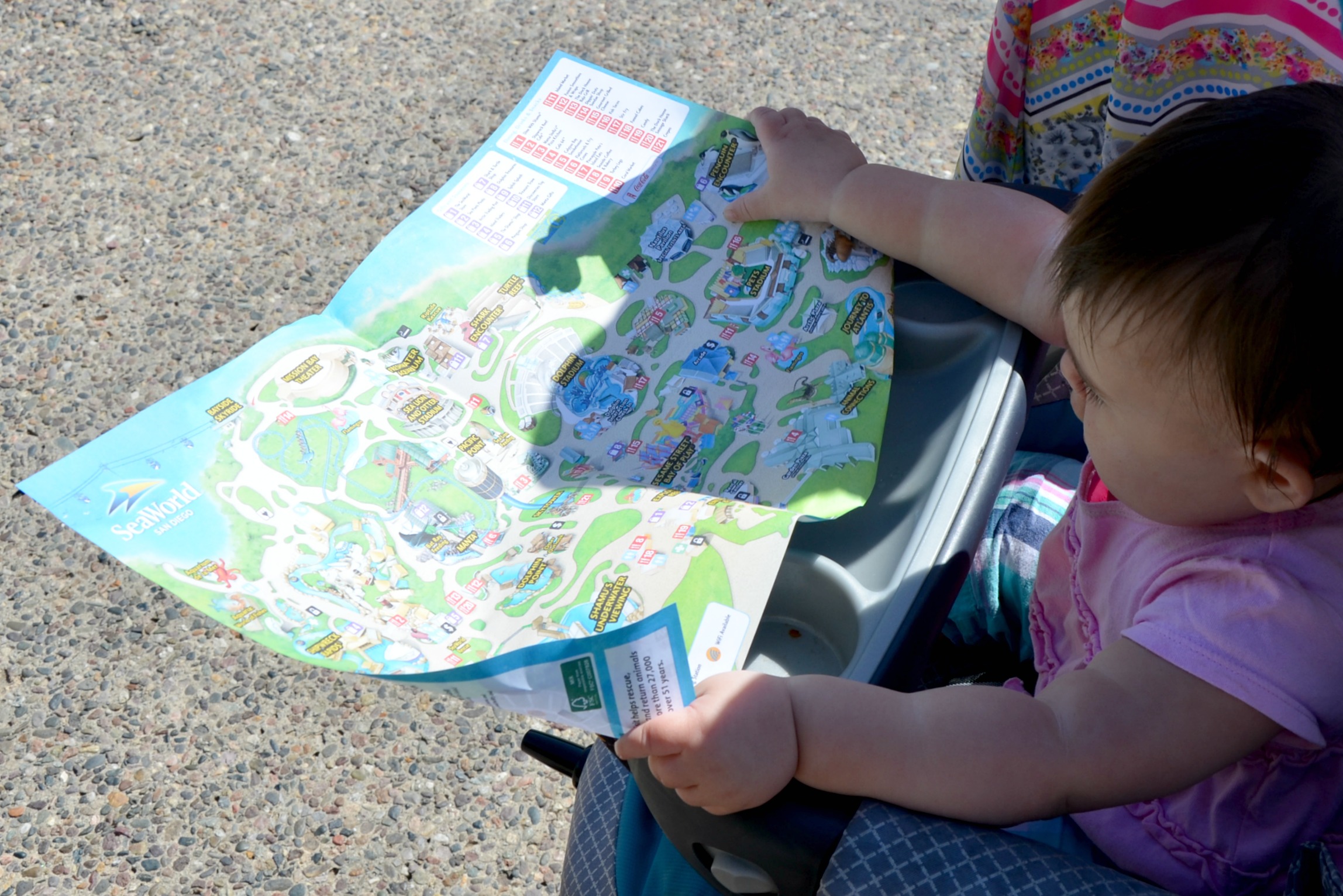 SeaWorld with young children map
