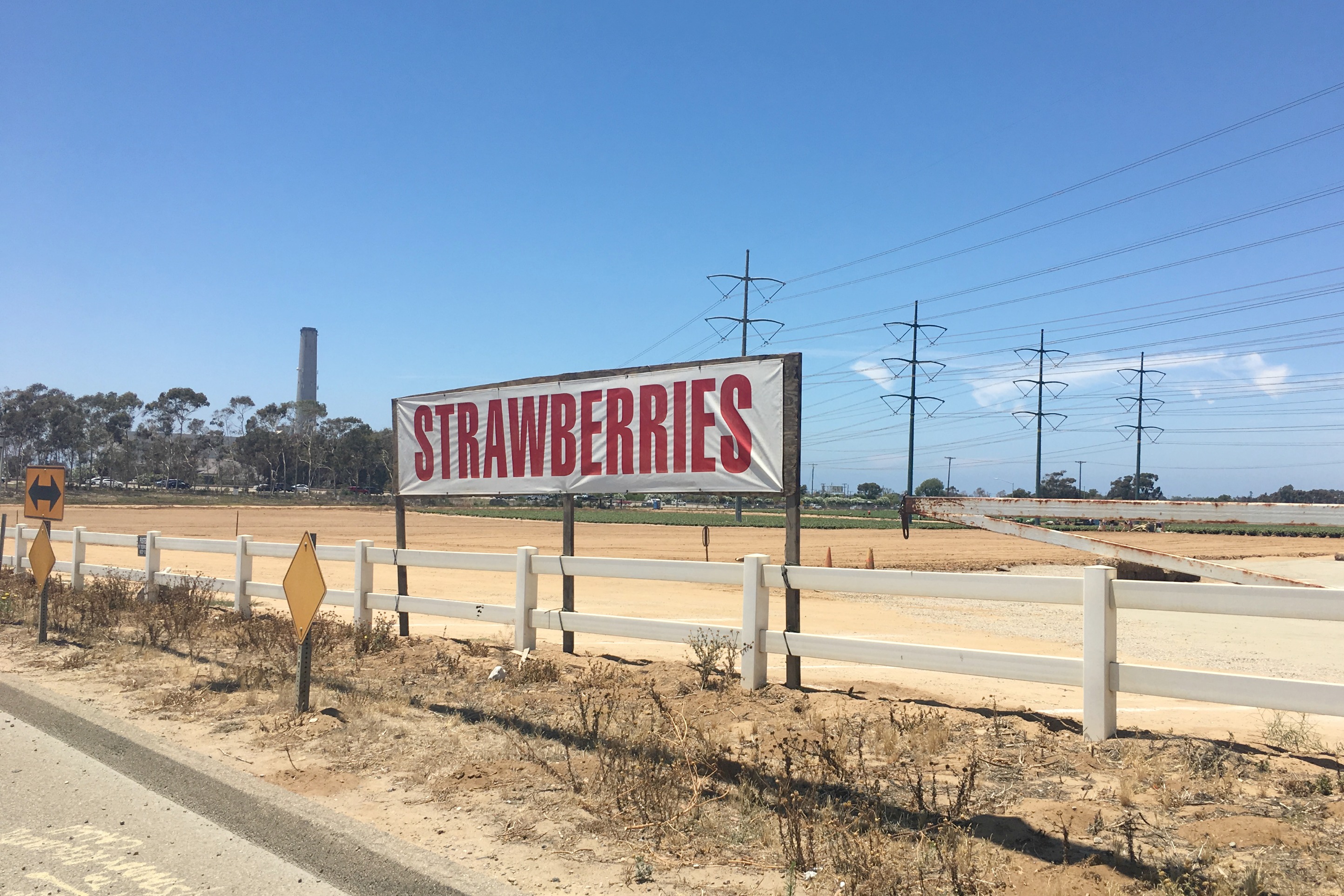 Carlsbad U-Pick Strawberries road sign