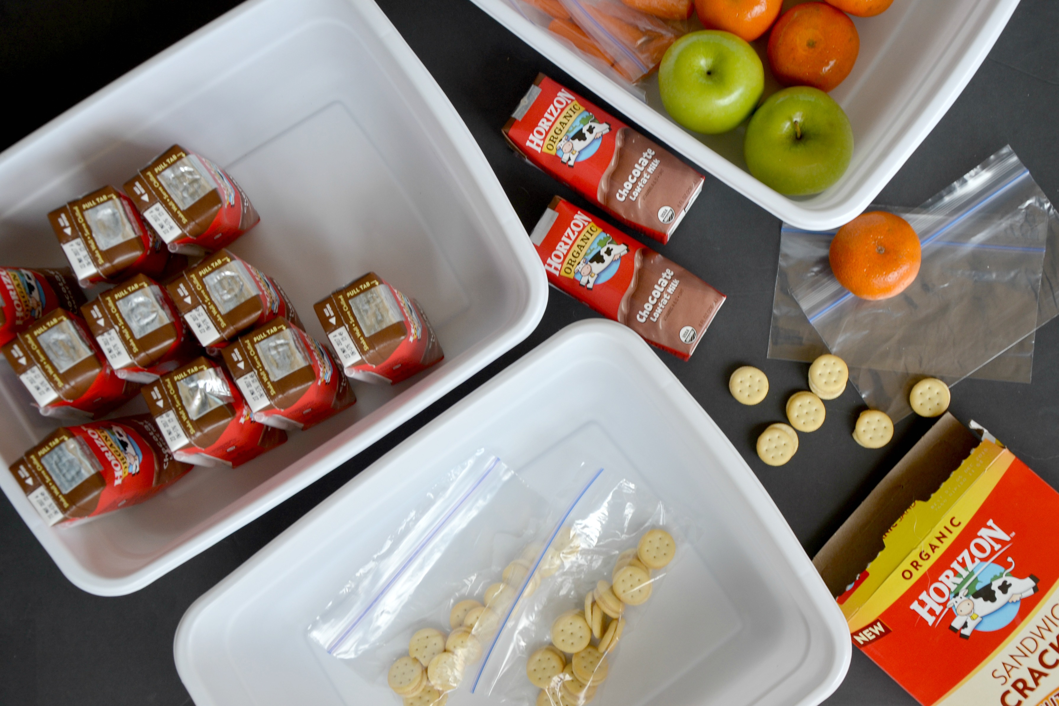 Easy Lunch Box Organization bins