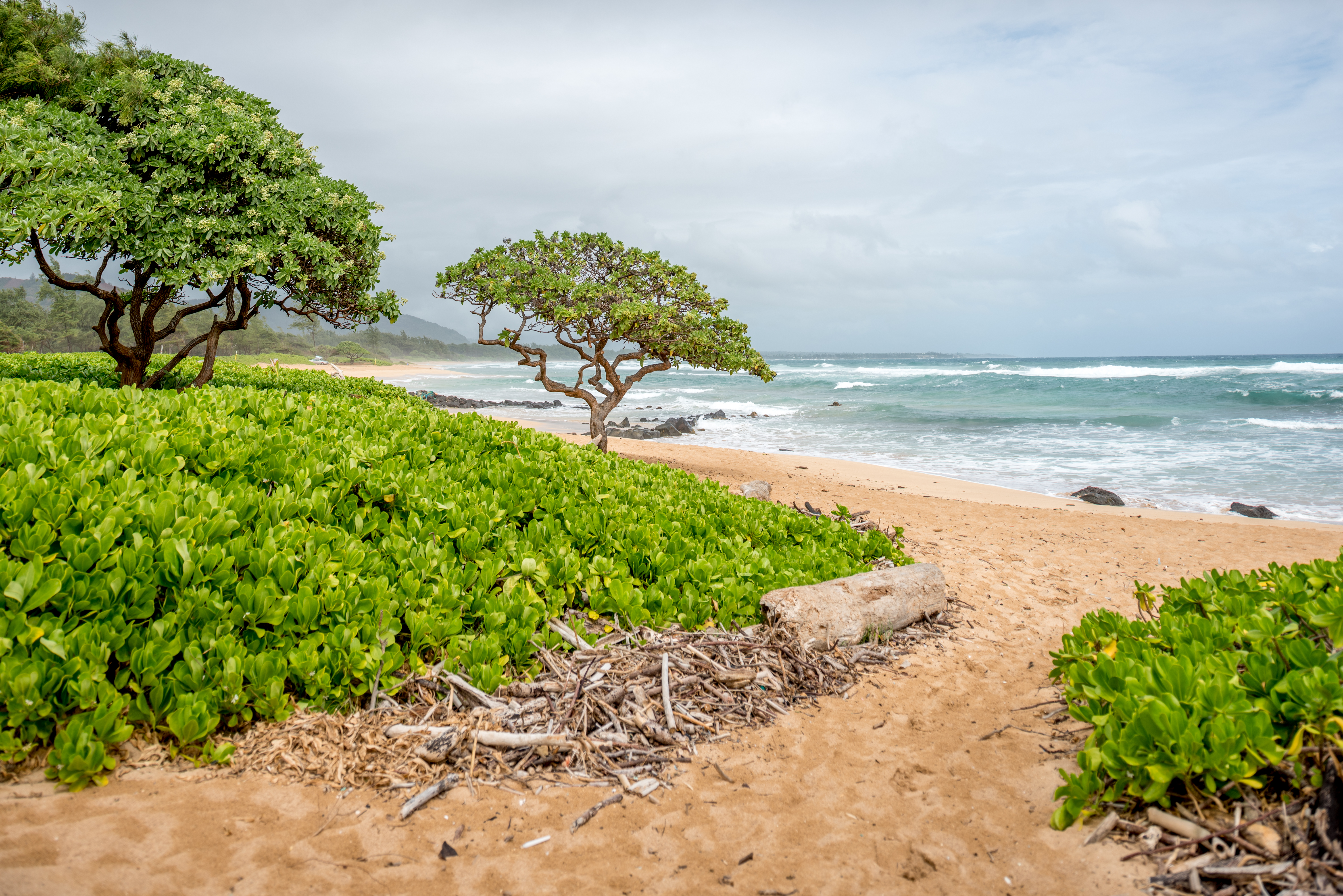 Kauai-Beach-Villas-exterior-beach-access-2015-1