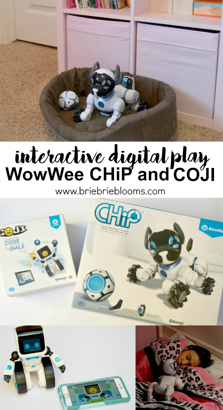 Interactive Digital Play CHiP and COJI