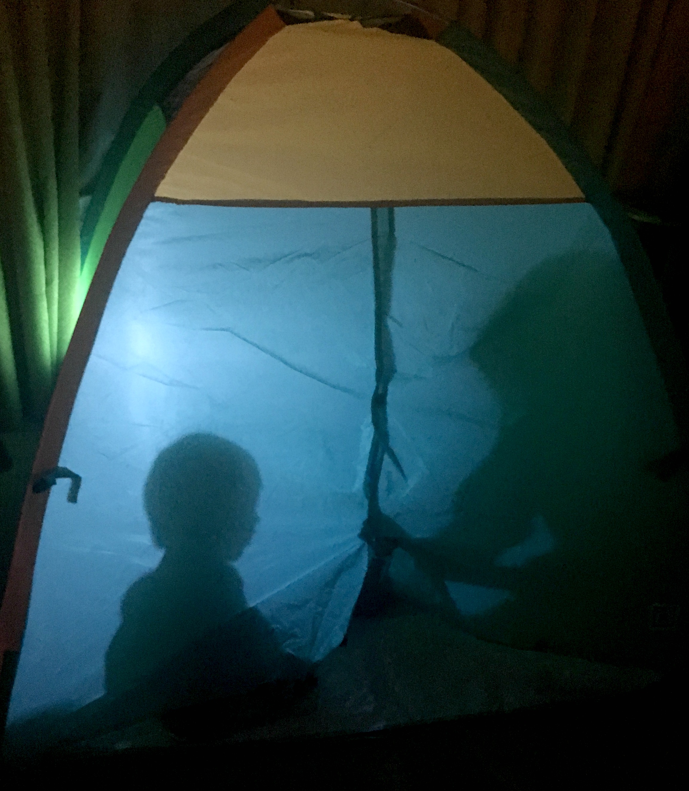 Ritz Carlton Dove Mountain in room tent bedtime