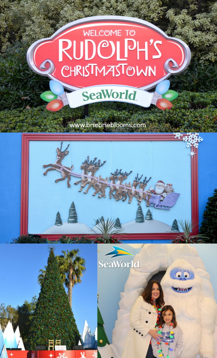 Christmas at SeaWorld with Rudolph and Friends