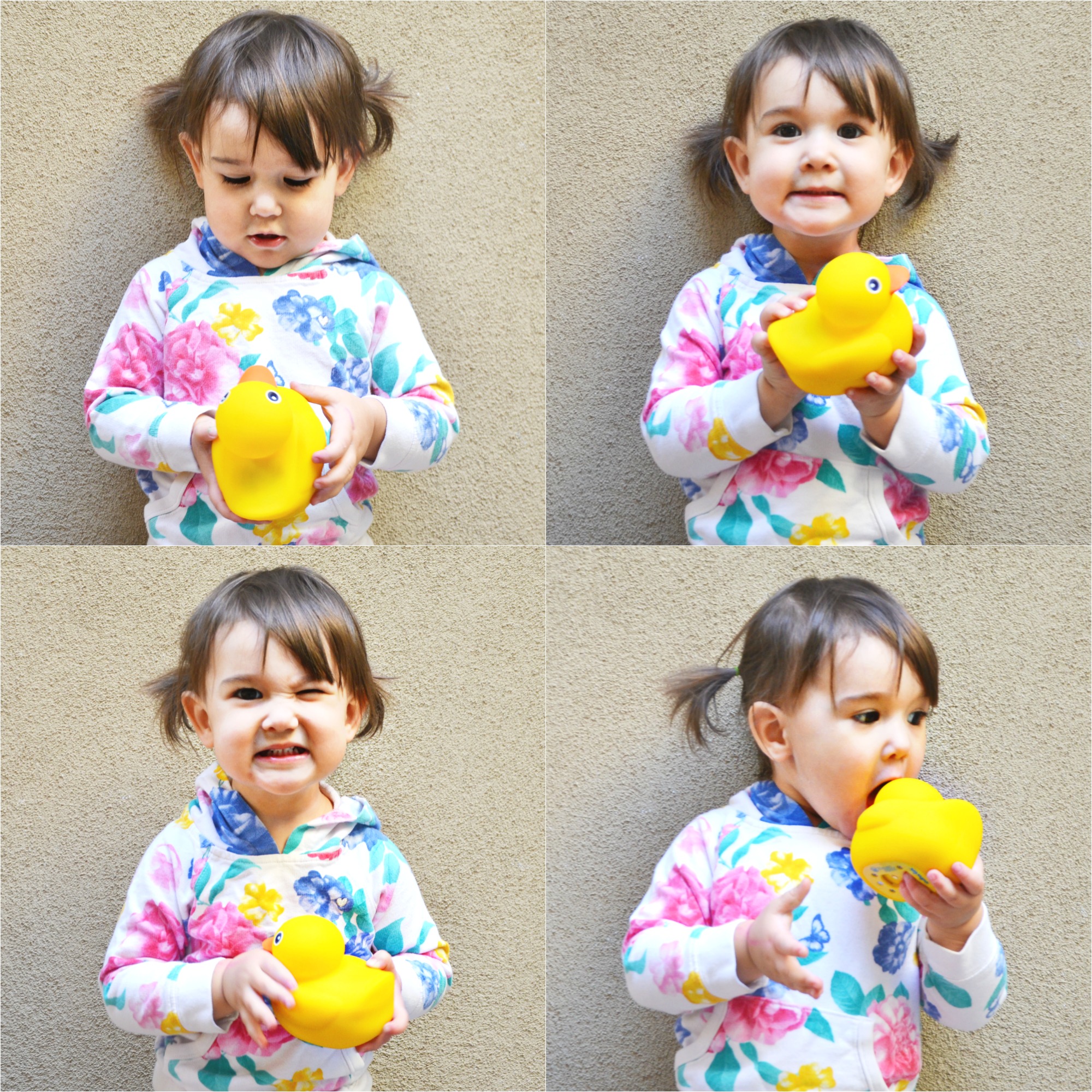 Edwin the Duck playtime