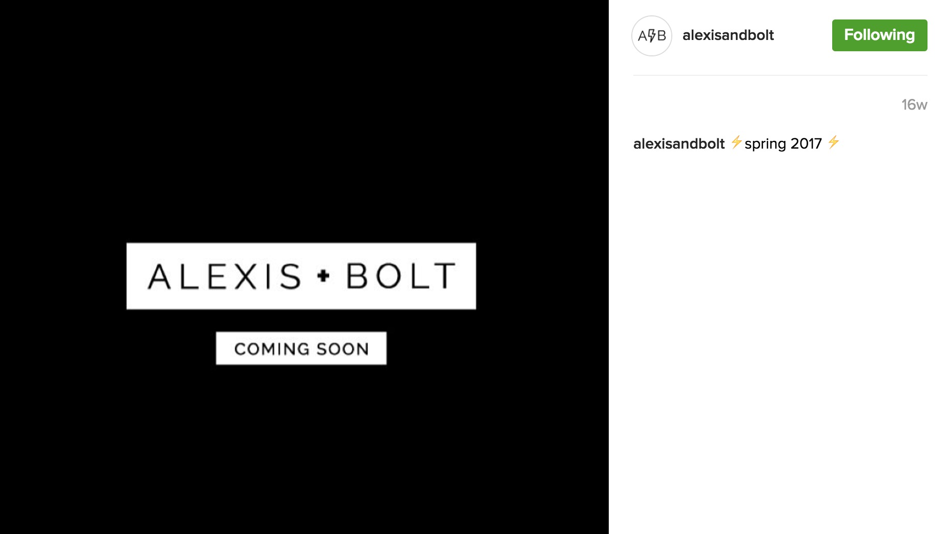 Alexis + Bolt Instagram