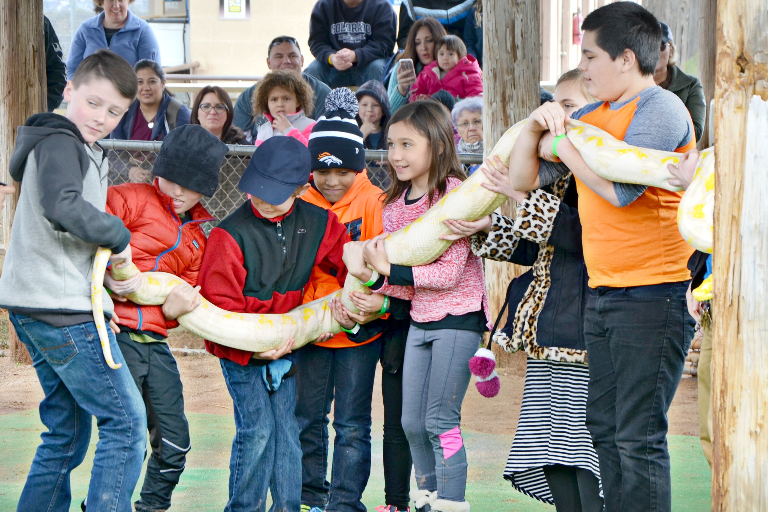 Out of Africa Wildpark snake show volunteer