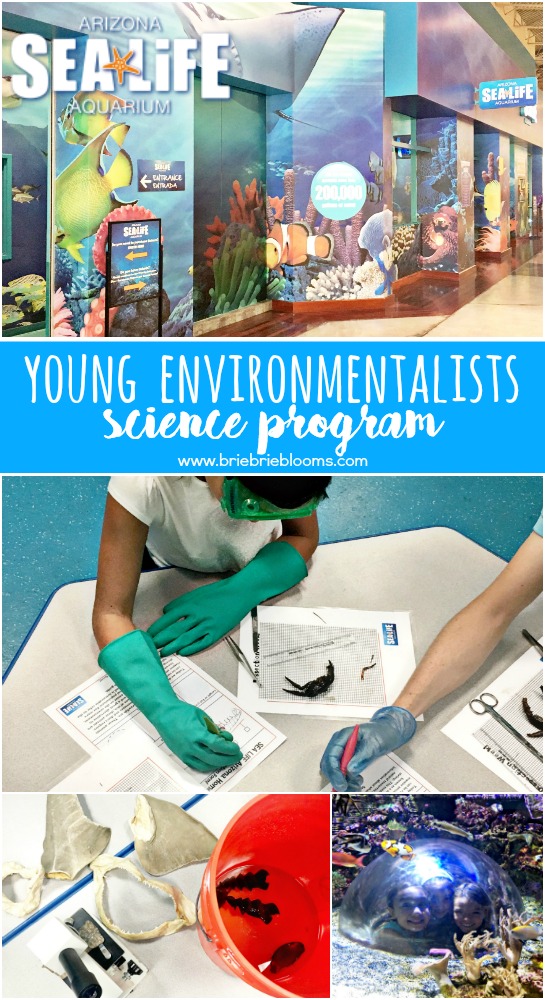 SEA LIFE Arizona Young Environmentalists science program