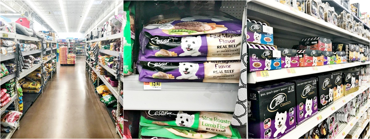 Cesar dog food at Walmart