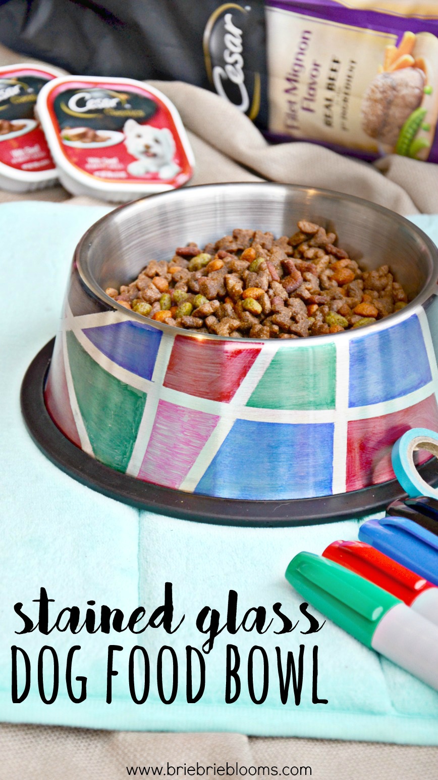 DIY Stained Glass Dog Food Bowl tutorial