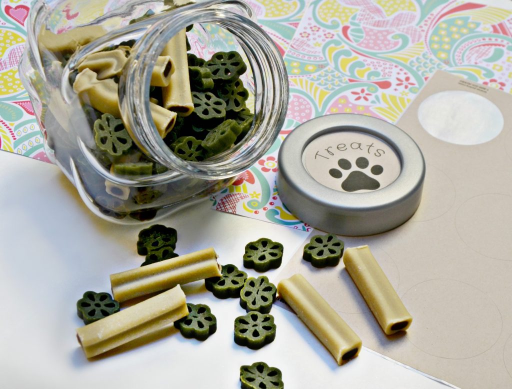 New Puppy Husky Gift Brie Brie Blooms