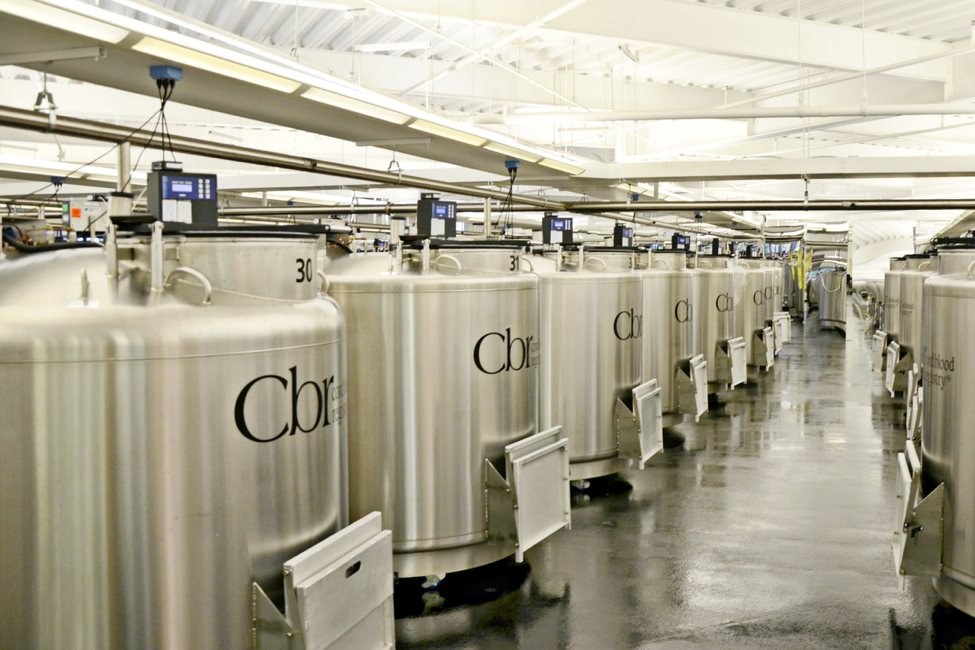cbr stem cell storage units