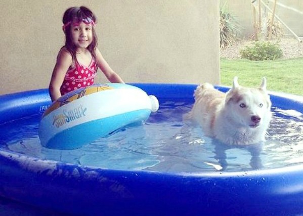 is your child smothering your dog pool