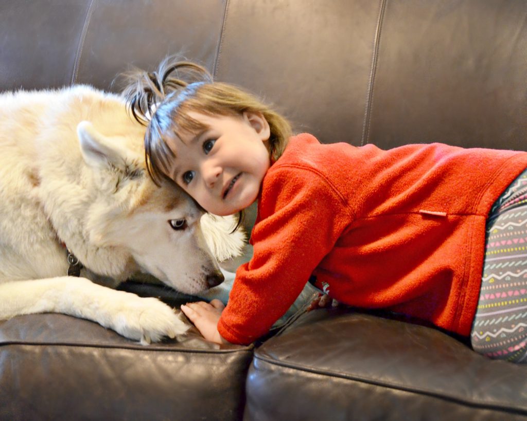 Is Your Child Smothering Your Dog Brie Brie Blooms