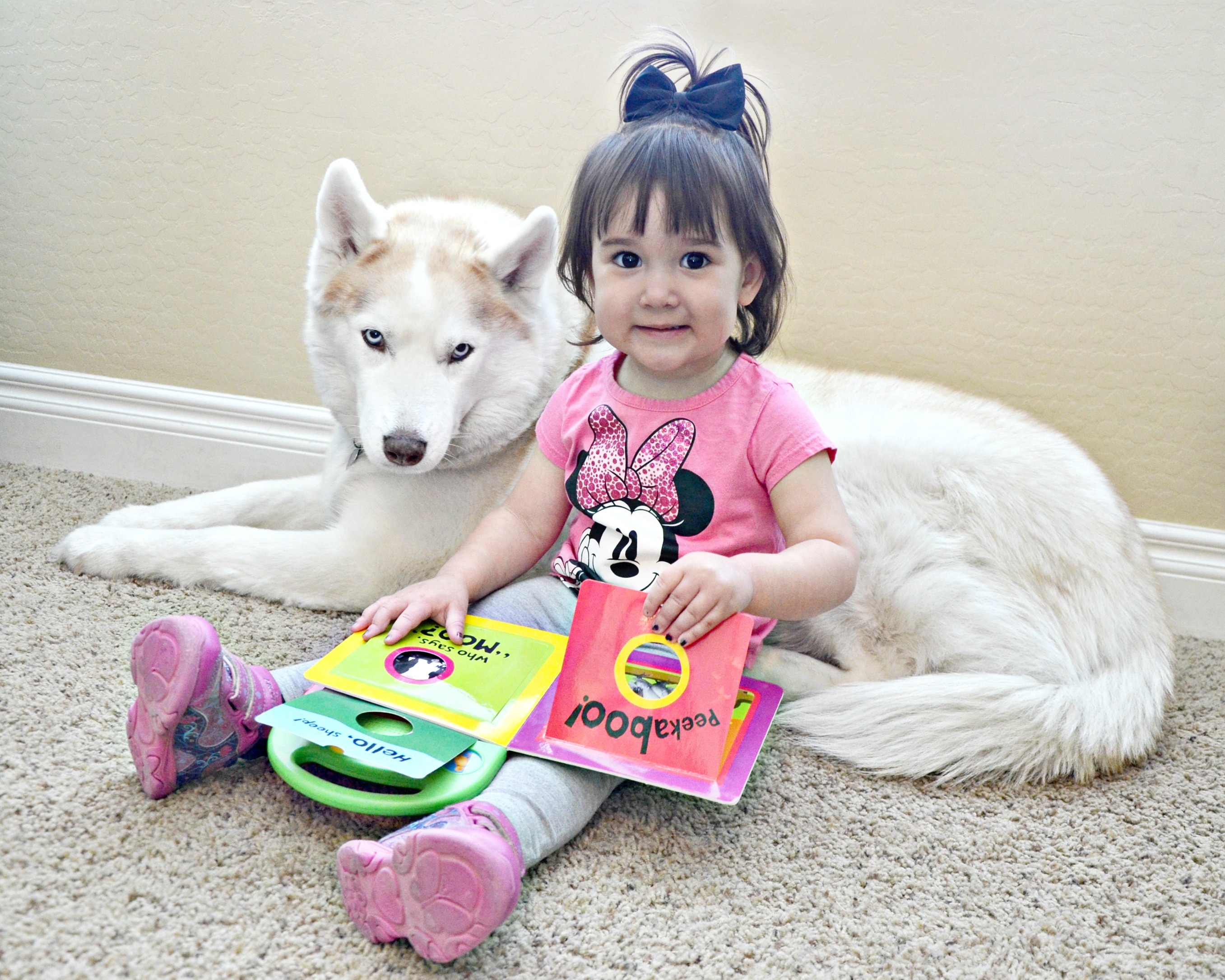 smothering dog baby reading to husky