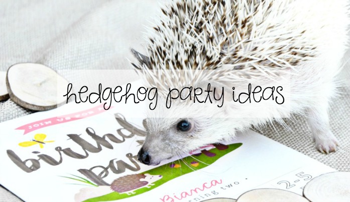 Get inspired for your next birthday party with these hedgehog party ideas!