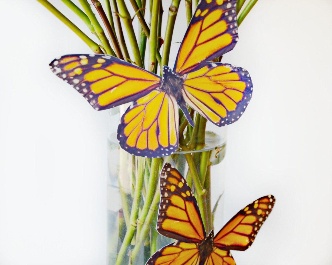 Make an easy butterfly vase by printing butterflies on photo paper. Dress up an ordinary vase with stunning butterflies.