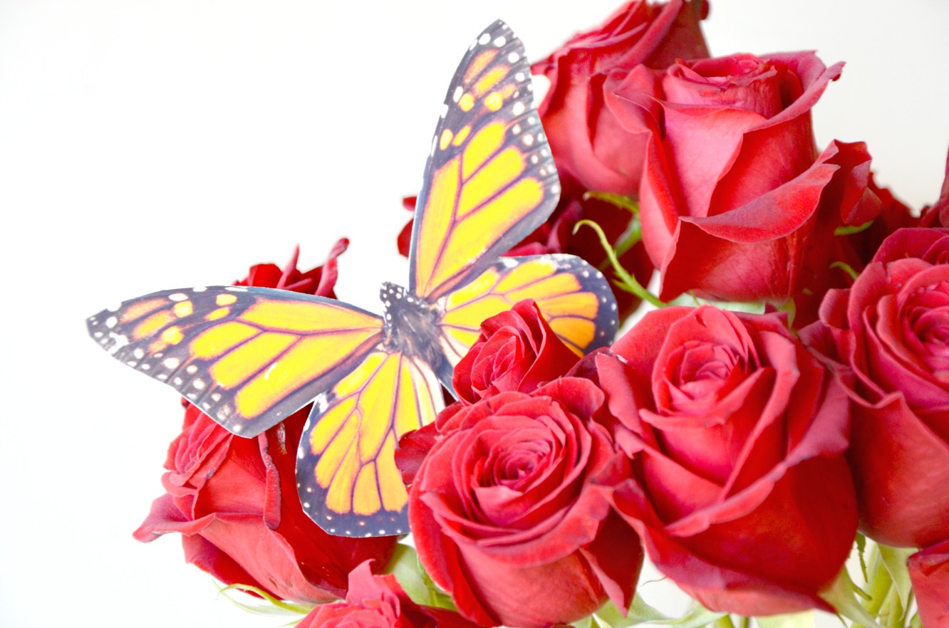 Make an easy butterfly vase by printing butterflies on photo paper. Dress up an ordinary vase with stunning butterflies.
