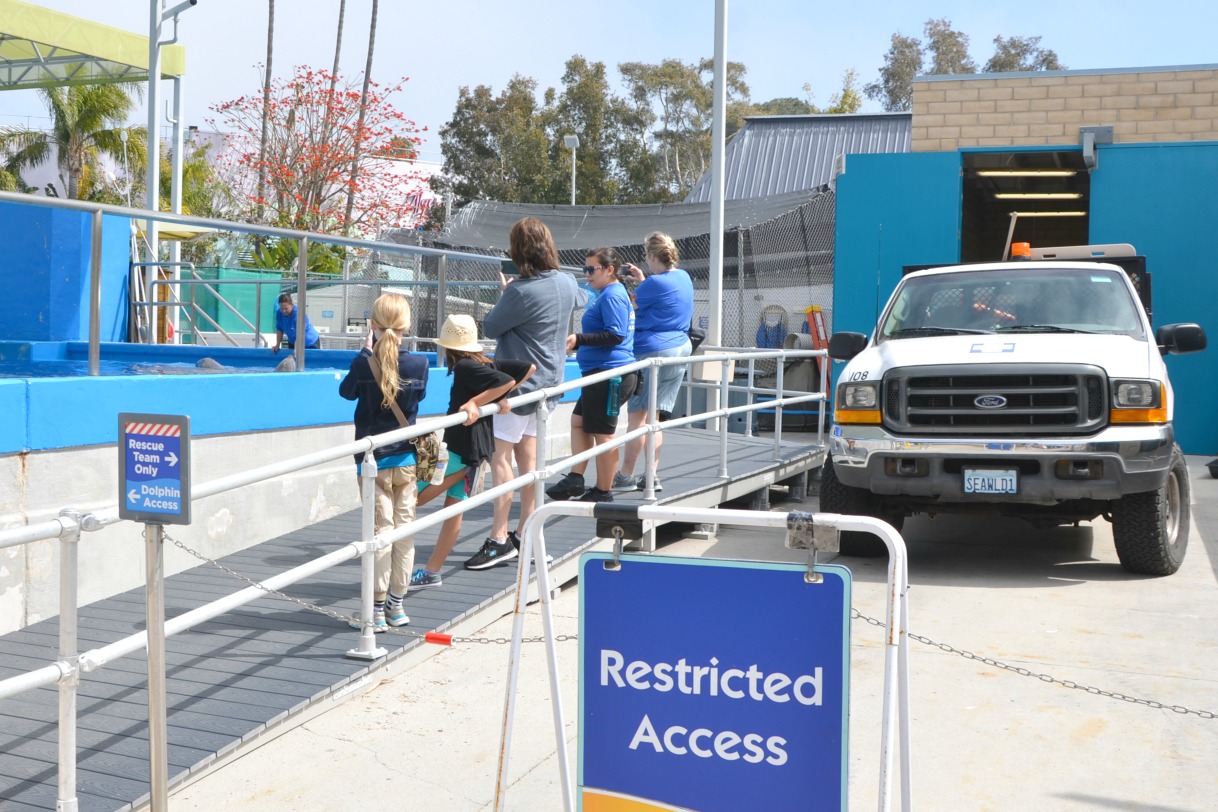 The SeaWorld San Diego sea lions up-close tour is a guided one hour tour featuring behind the scenes access with animal care experts and animal encounters.