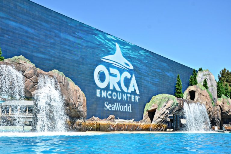 SeaWorld Orca Encounter Stunning Educational Presentation Brie Brie