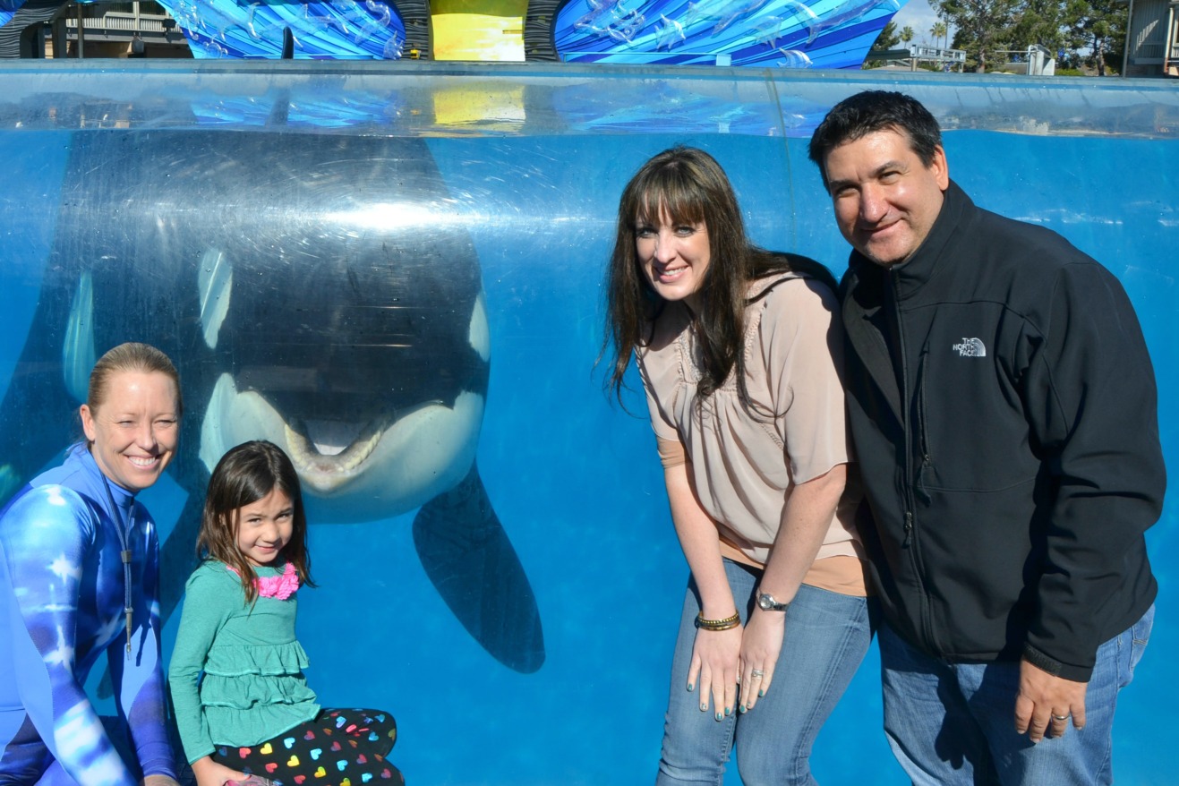 See what we learned about killer whales at SeaWorld and the experience of a whale behaviorist with years of experience caring for the animals. 