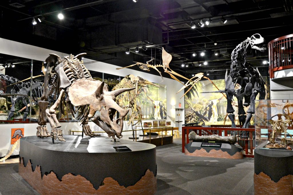 dinosaur museum near yellowstone