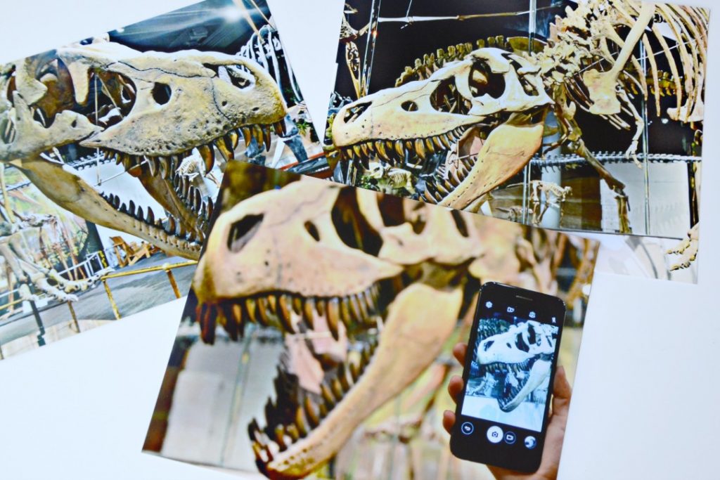 Dinosaur Museum | Tips for Printing your Summer Photos at Home - Brie ...