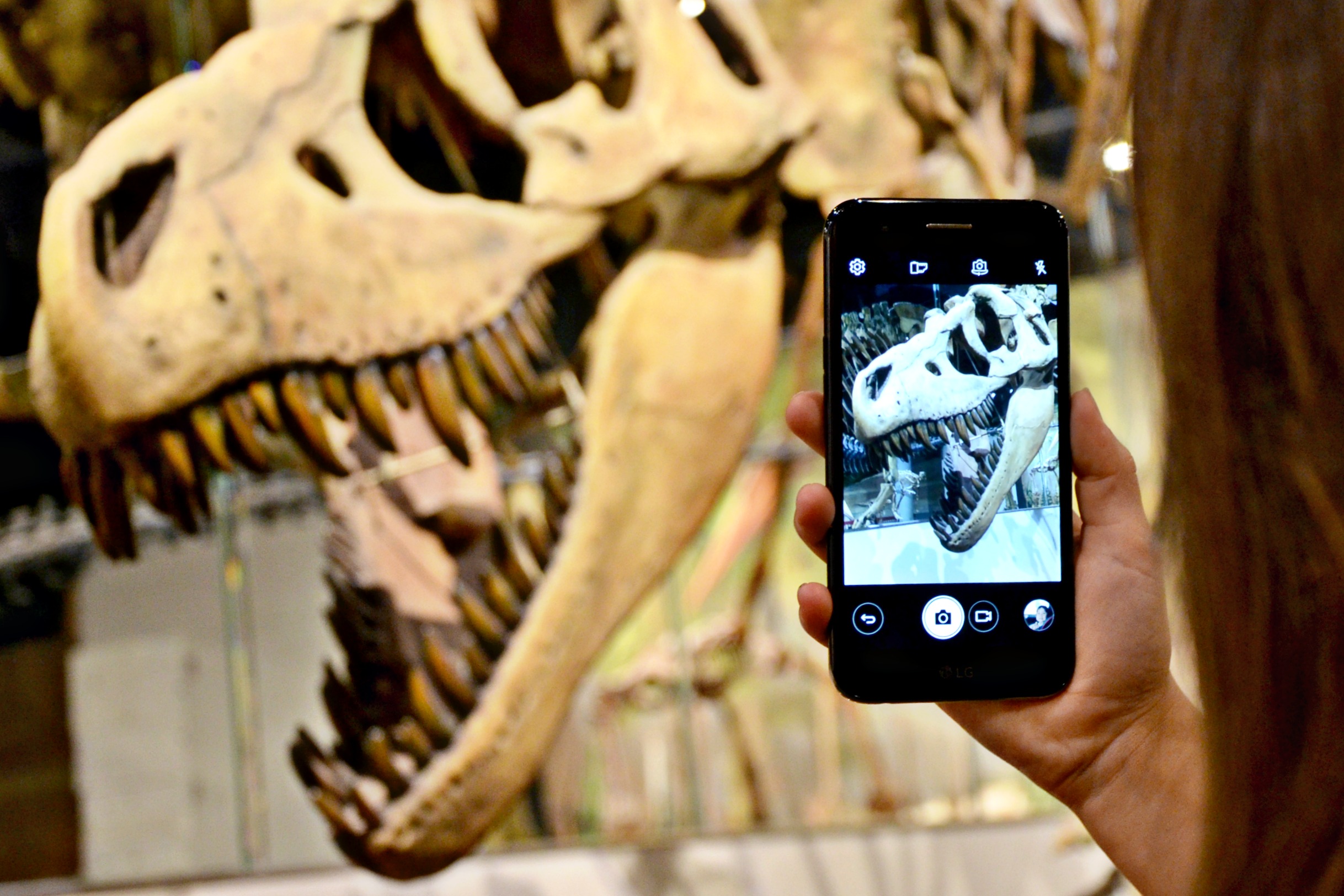 Visit the dinosaur museum then bring your favorite memories home with these tips for printing your summer photos at home.