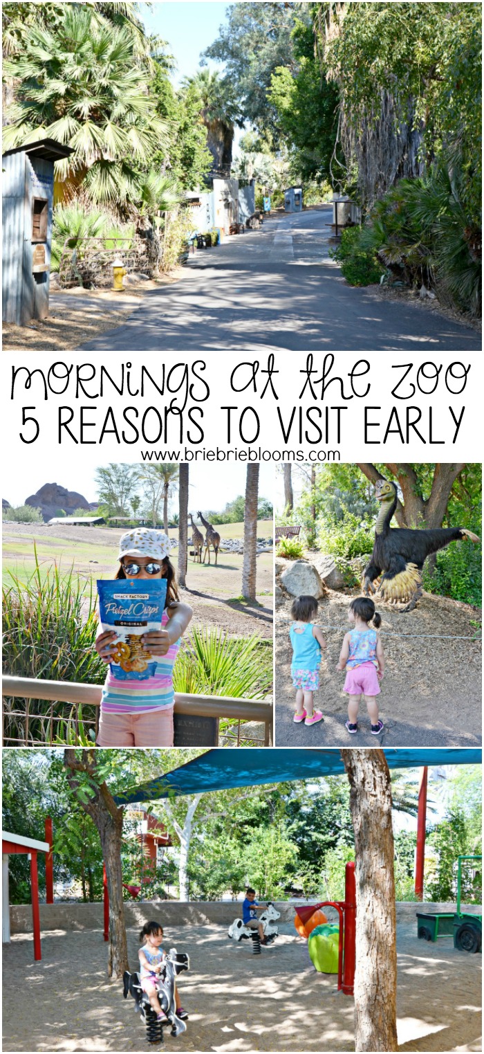 Early morning at the zoo have made some of our favorite summer memories. 5 reasons to visit early will have you wanting an early start too!