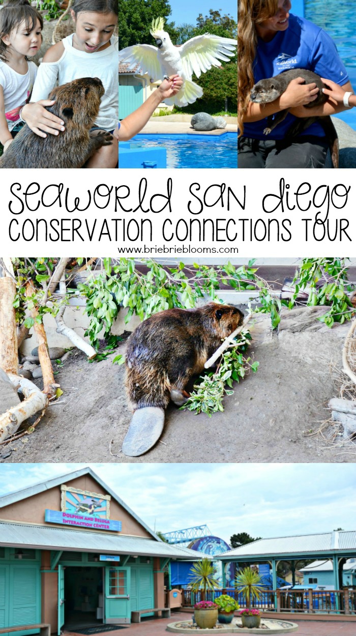 The SeaWorld San Diego Conservation Connections Tour is a wonderful learning opportunity with animal encounters providing conservation facts and tips.
