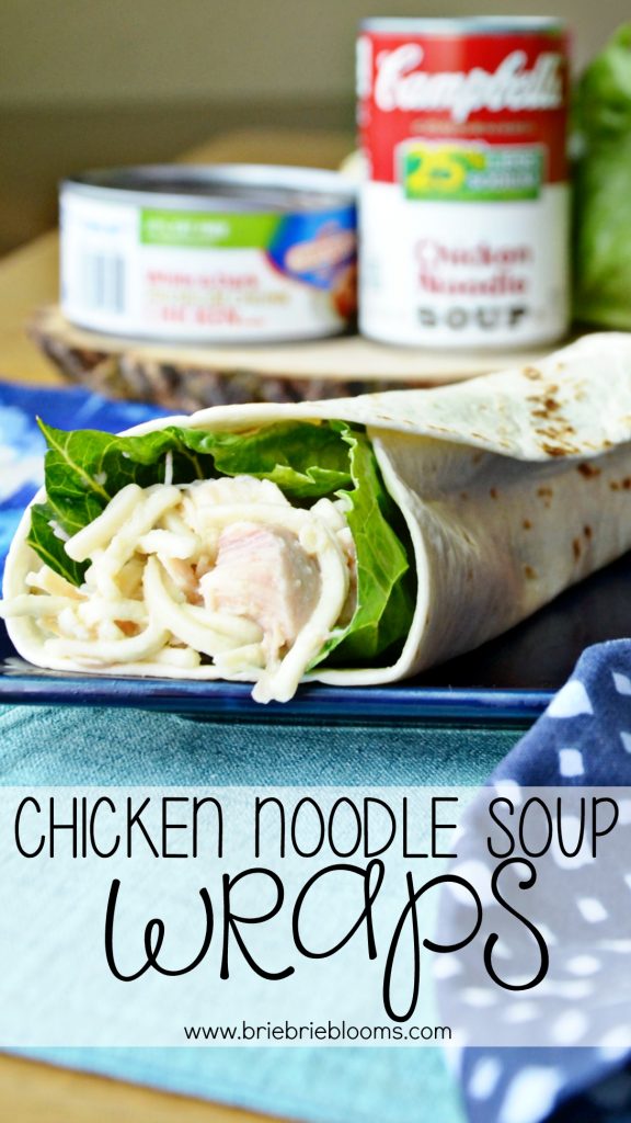 Chicken Noodle Soup Wraps Brie Brie Blooms