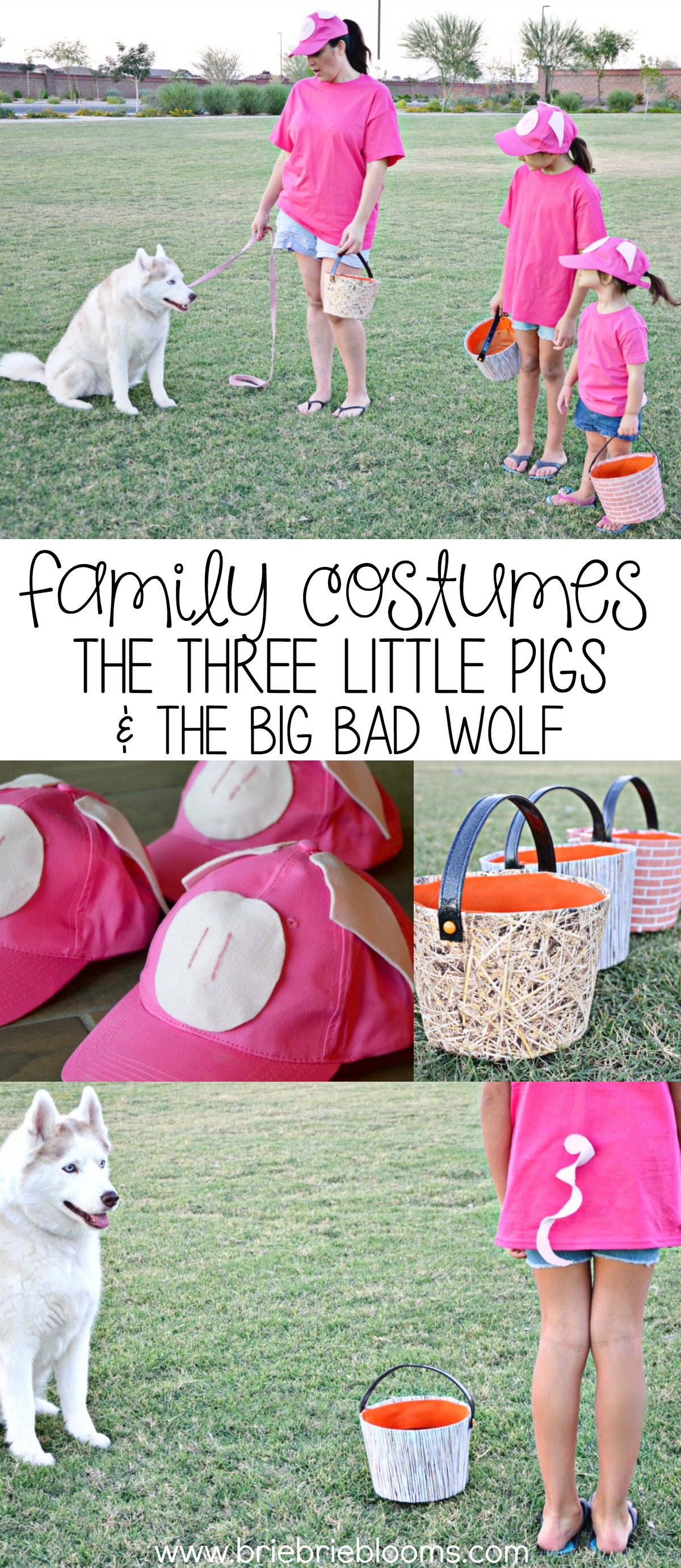 Include your favorite pet in this year's Halloween fun and make these Three Little Pigs and The Big Bad Wolf family costumes.