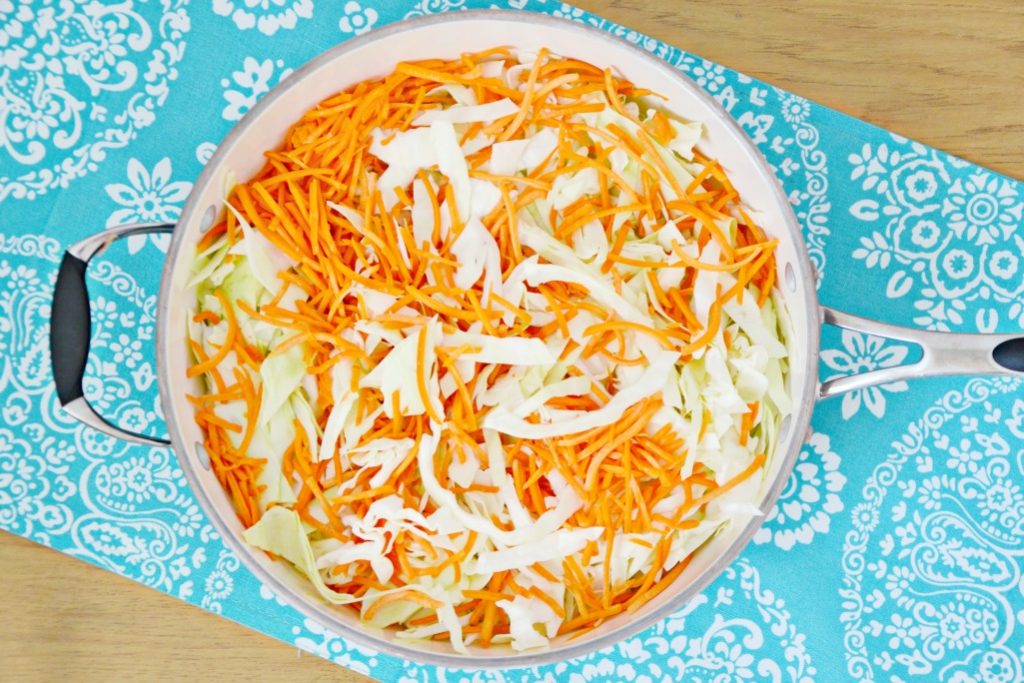 Chicken Cabbage Noodle Recipe with egg white noodles Brie Brie Blooms