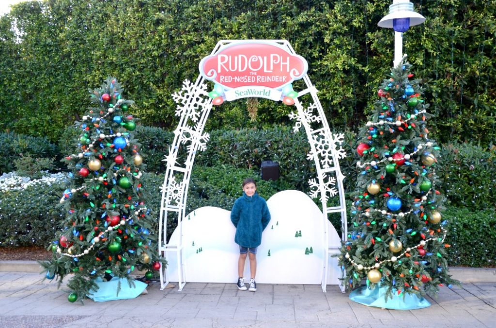 Plan a SeaWorld holiday visit in San Diego now through January 6th to experience all the festive fun with snow, educational presentations, animals and more! 