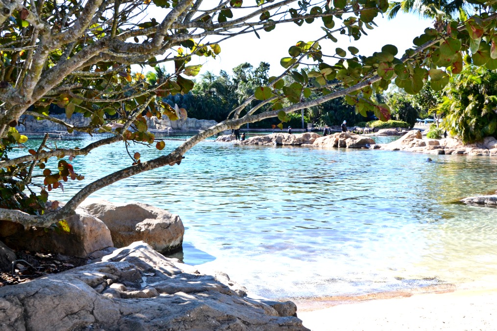 Discovery Cove Florida is an all-inclusive day resort with many animal encounter experiences like snorkeling, a bird aviary and swimming with dolphins.
