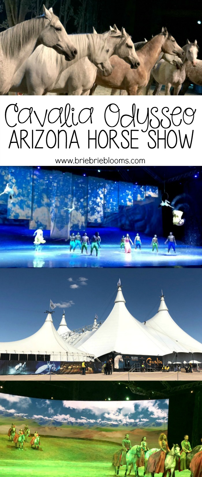 The Cavalia Odysseo Arizona horse show is 2/21-3/18, 2018 under the "White Big Top" in Scottsdale featuring over 110 artists and horses.