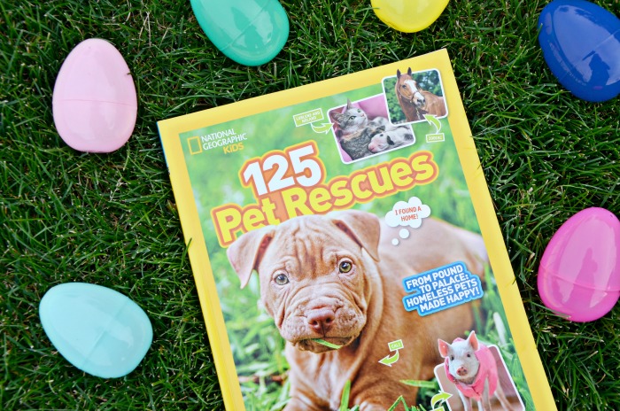Fill a great basket with these educational Easter basket ideas including items like National Geographic Kids books.