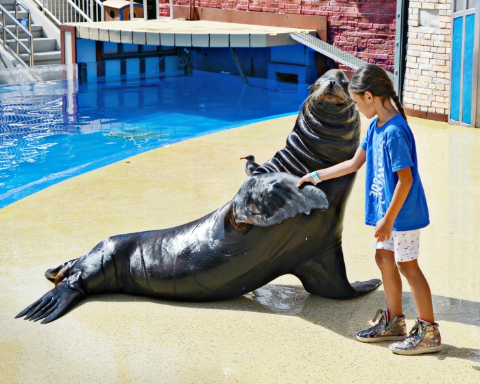 Gabriella, a Phoenix based kid blogger and the SeaWorld kid blogger wants to work with marine animals when she grows up.