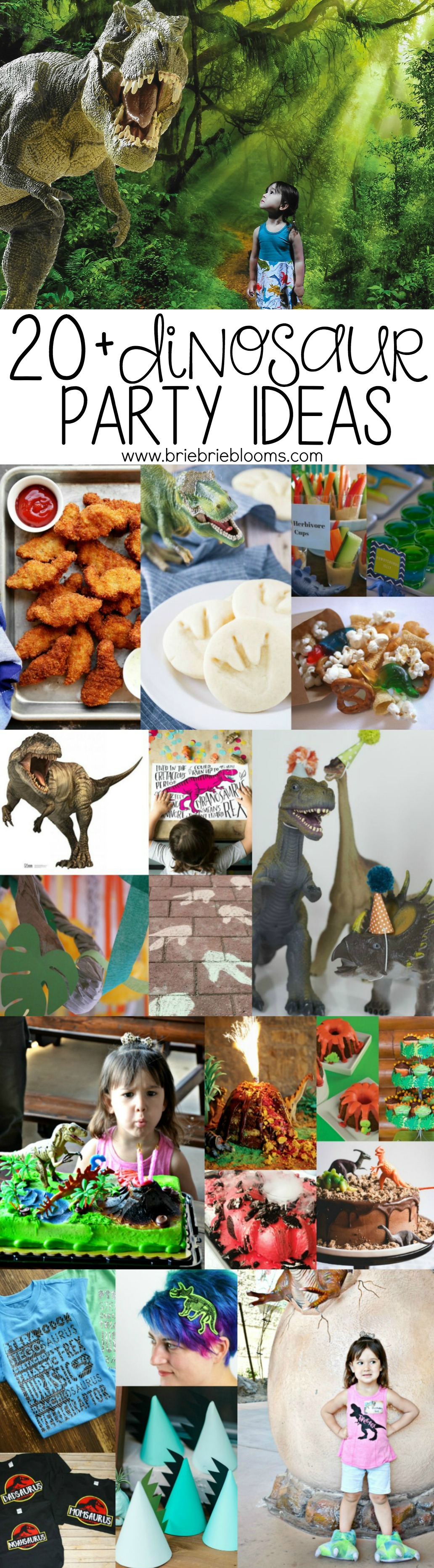 Plan the ultimate dinosaur party with these 20+ dinosaur party ideas!